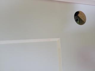 Interior Molded Door