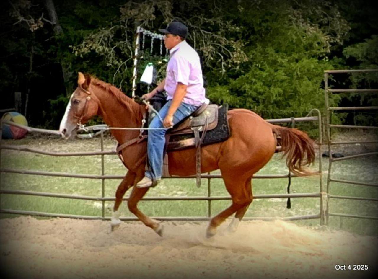 Ranger Safe for All Ages