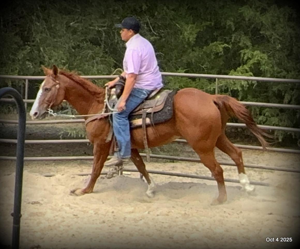 Ranger Safe for All Ages