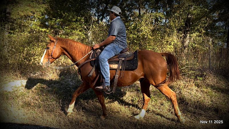 💚Ranger Safe for All Ages💚