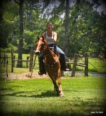 Smart Little Buzz AKA hawk