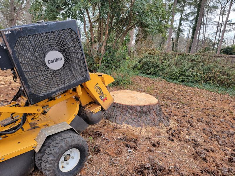 Stump Removal