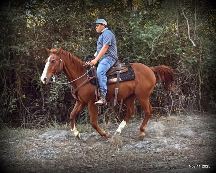 💚Ranger Safe for All Ages💚