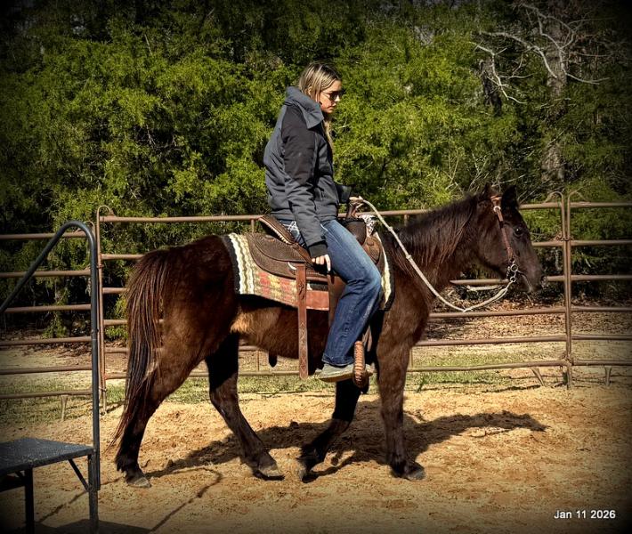 🩷❤️Pixie🩷❤️