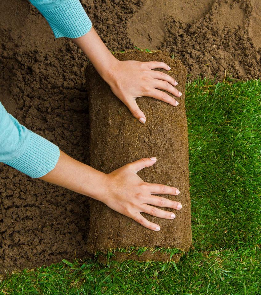 Landscape Installation & Renovation