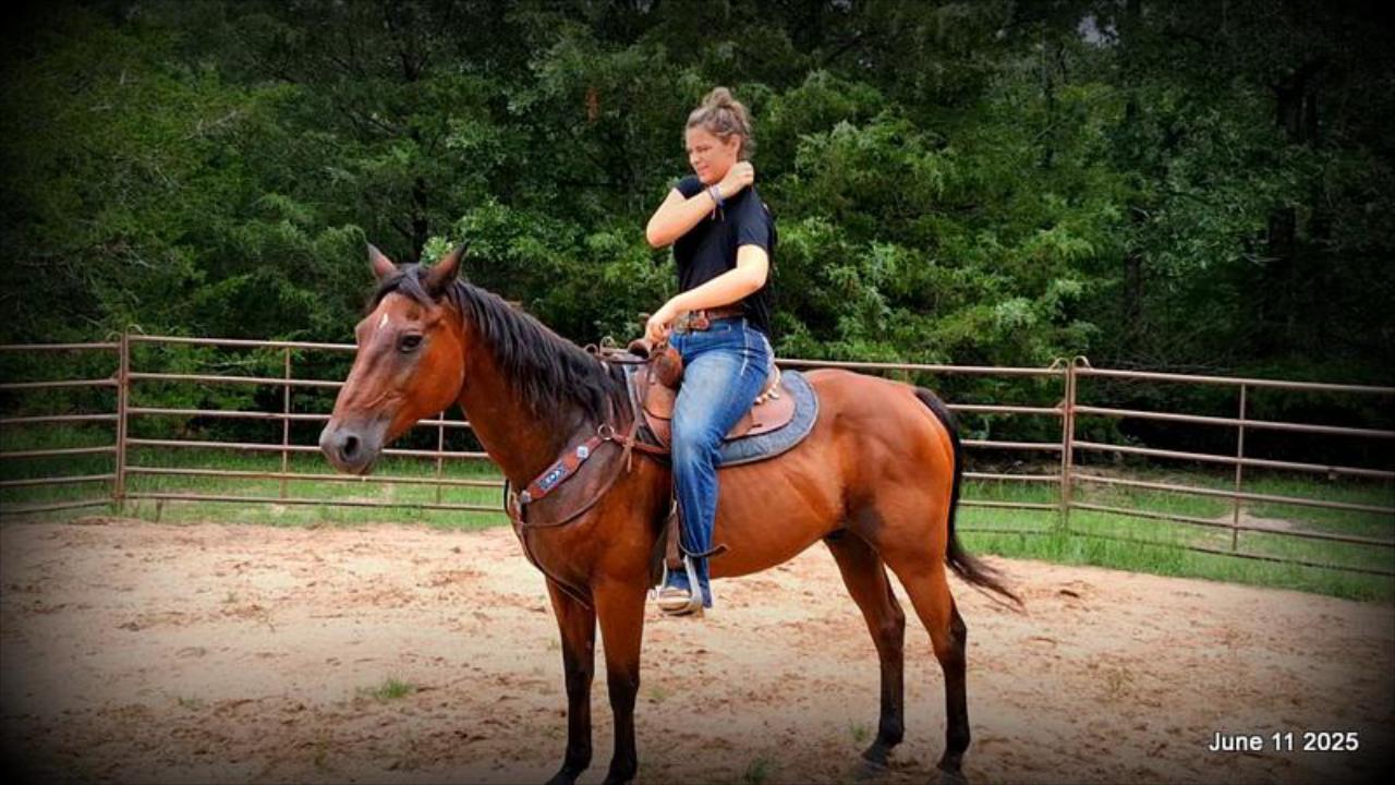 Sammy – A Comeback Story with a Heart of Gold