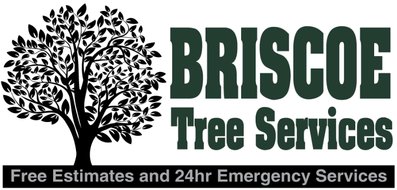 Briscoe Tree Service In Arab AL Contact Us