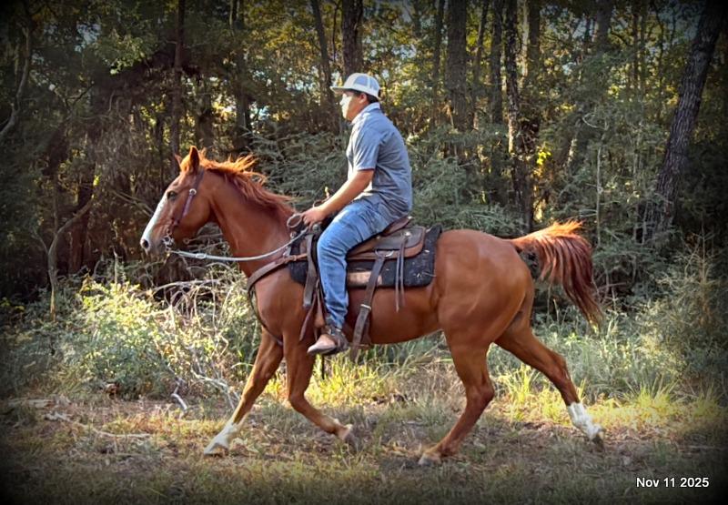 💚Ranger Safe for All Ages💚