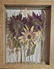 Sunflower Trio, Floating Frame