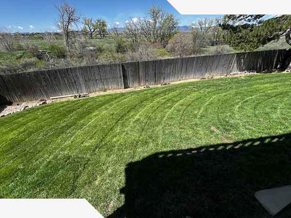 Lawn Mowing/Edging