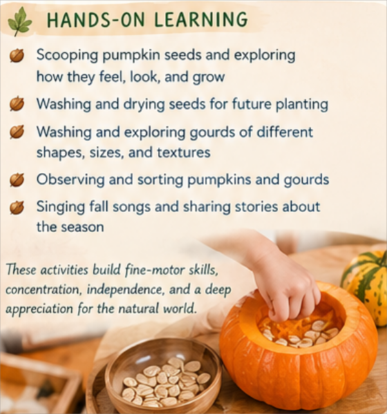 Autumn Science