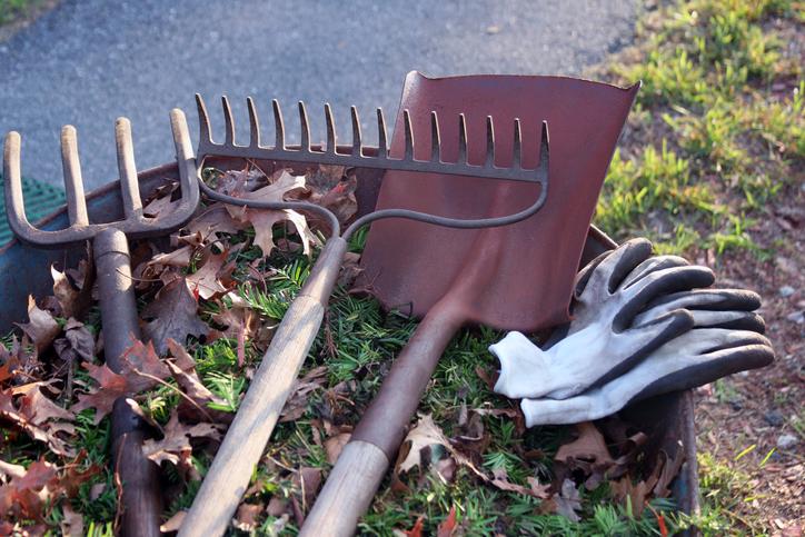 ONE TIME YARD CLEAN-UP