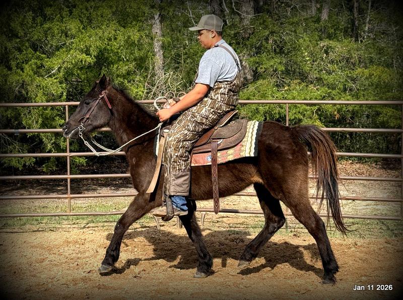 🩷❤️Pixie🩷❤️