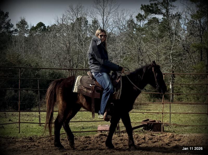 🩷❤️Pixie🩷❤️