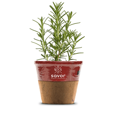 Rosemary - Roasting™
