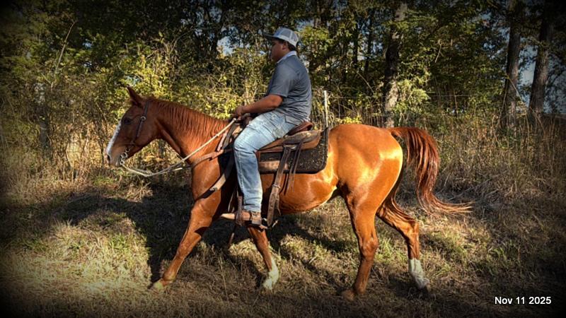 💚Ranger Safe for All Ages💚