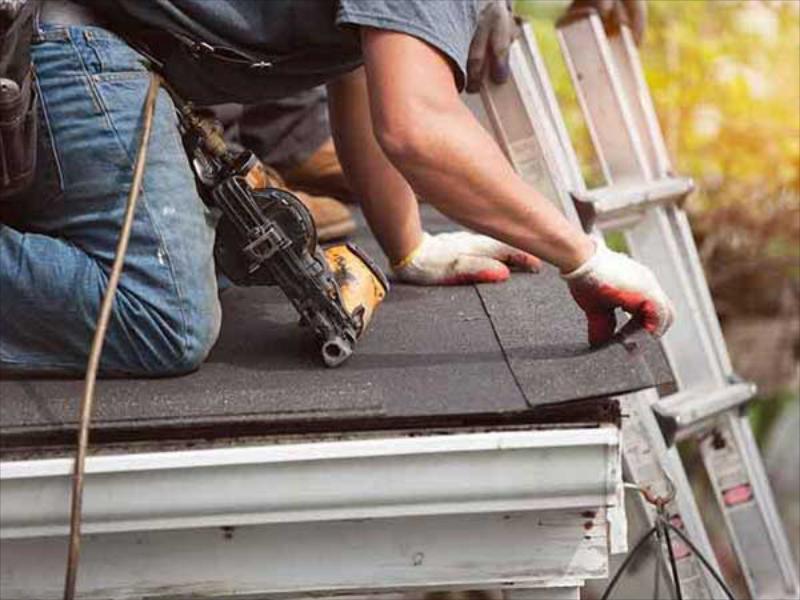 PROFESSIONAL ROOFING SERVICES