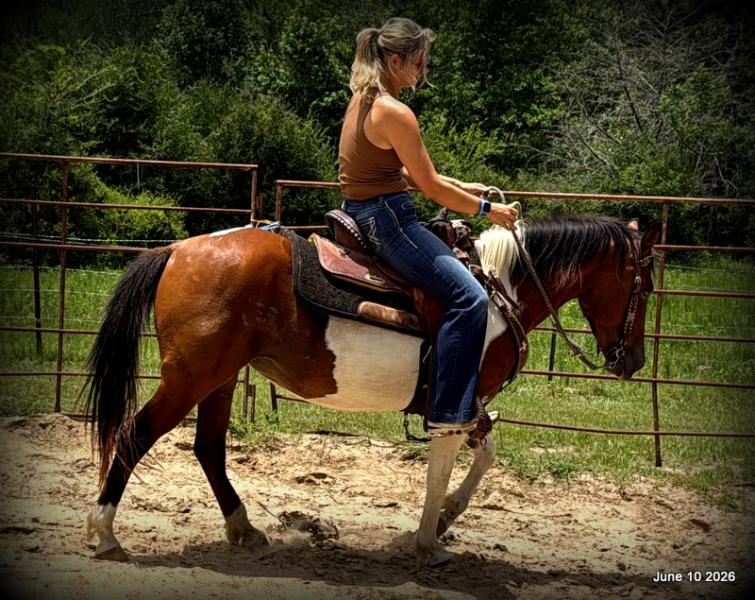 🧡Coca🧡Solid, Sensible Trail Mare 🌟