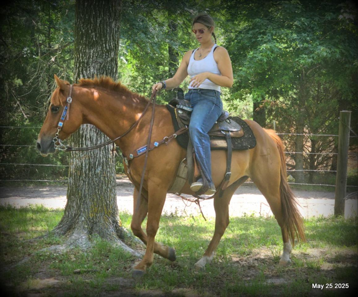 Smart Little Buzz AKA hawk