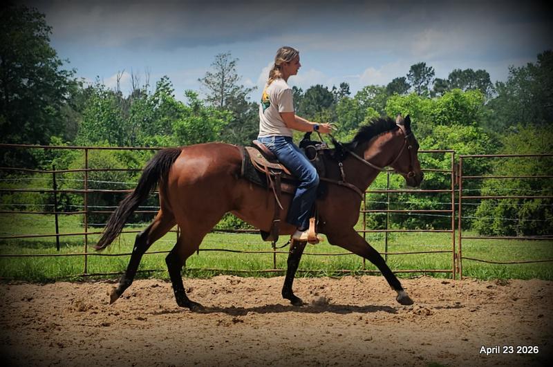 Darylslitlediablo (Diablo)