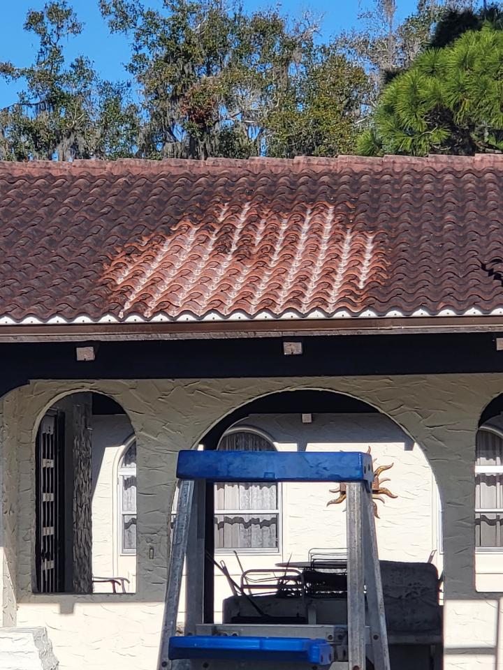 The Importance of Roof Cleaning