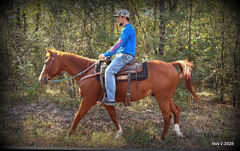 💚Ranger Safe for All Ages💚