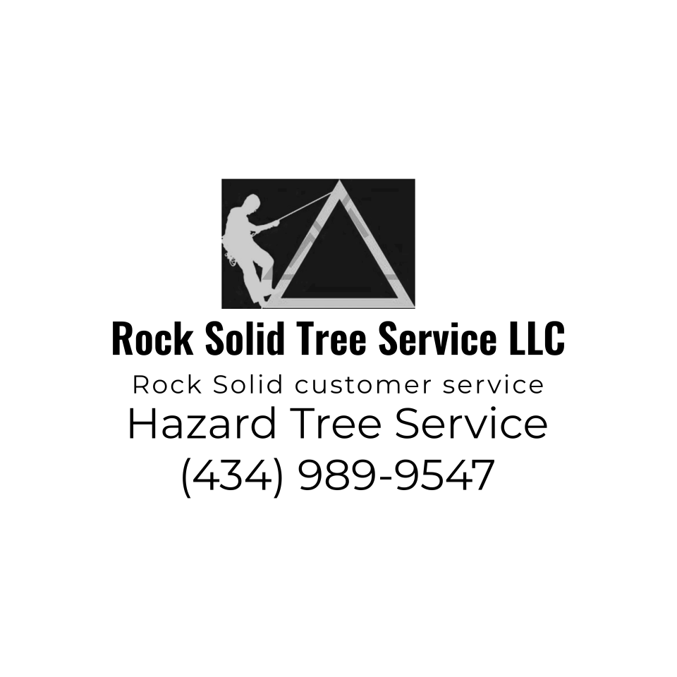Rock Solid Tree Service In Kent Store VA | Photo Gallery