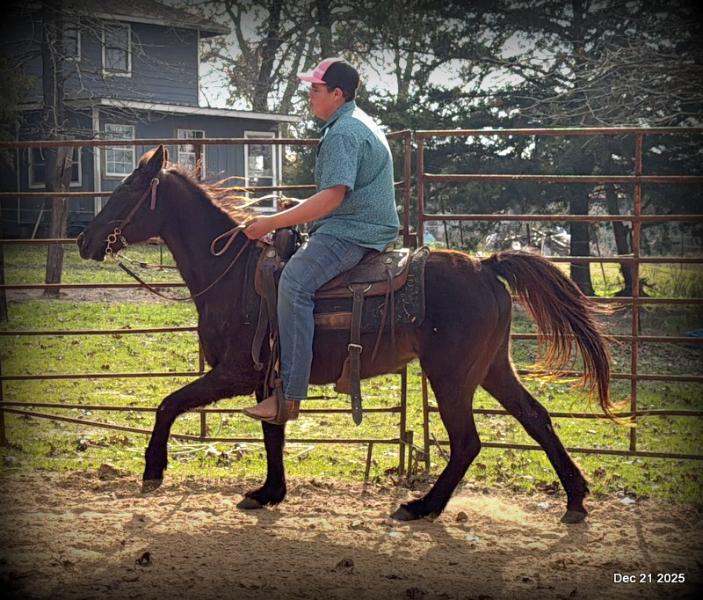 🩷❤️Pixie🩷❤️