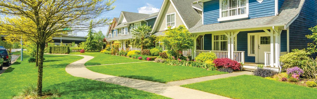 Now is the season to get your lawn and landscape in shape!