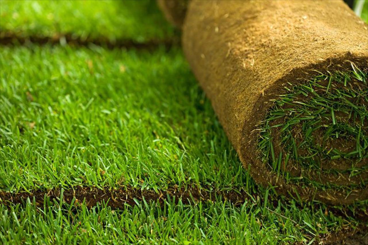 How To Care For Bermuda Grass