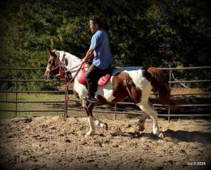 Jazzy – A Warrior Seeking Her Second Chance