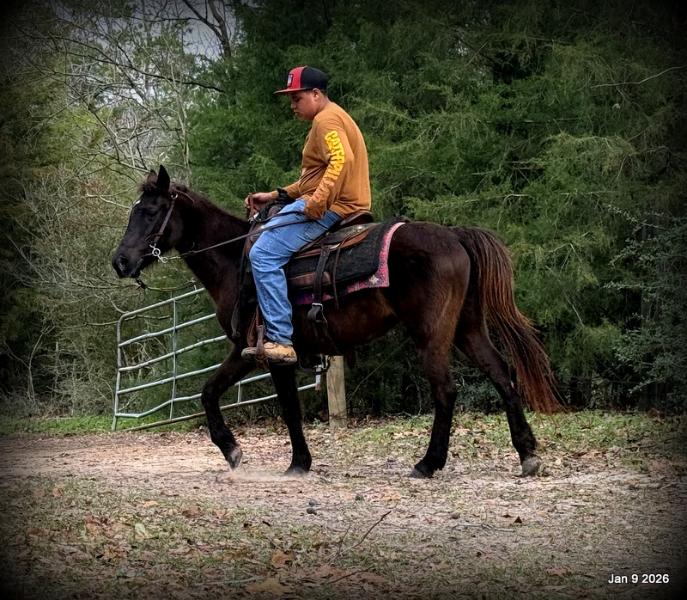 🩷❤️Pixie🩷❤️