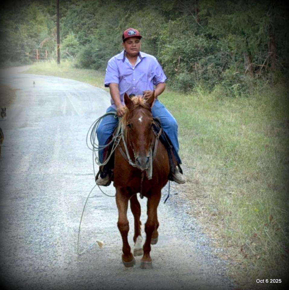 Biggie – Ranch-Tested, Family-Safe, and Ready to Ride!