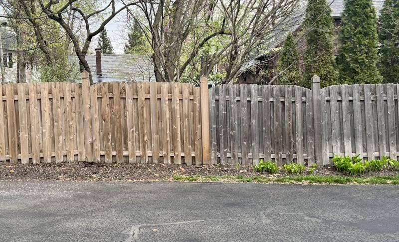 Deck &amp; Fence Restoration