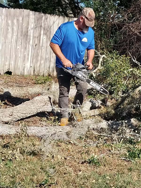 Cutting a removed tree trunk into sections for haul-off