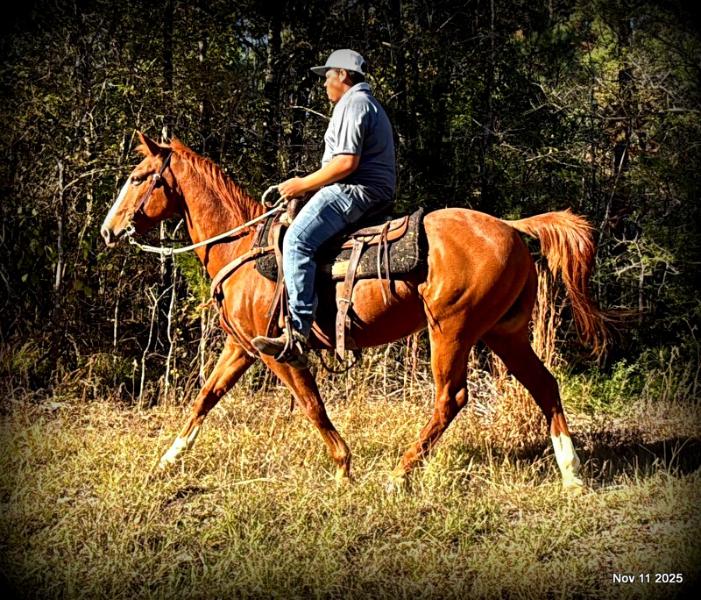 💚Ranger Safe for All Ages💚