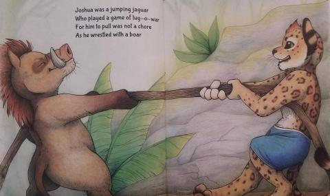 Rungle In The Jungle - The Book