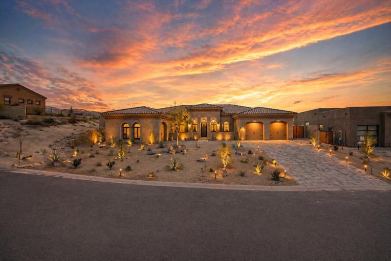 Expert Plant and Tree Installation in Arizona