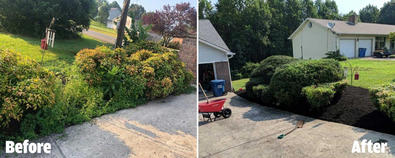 Trimming & Pruning in Dayton, TN & Rhea County