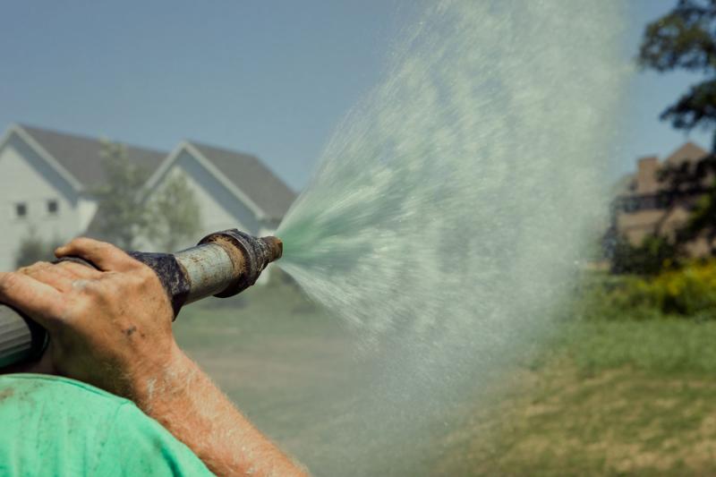 LAWN SEEDING