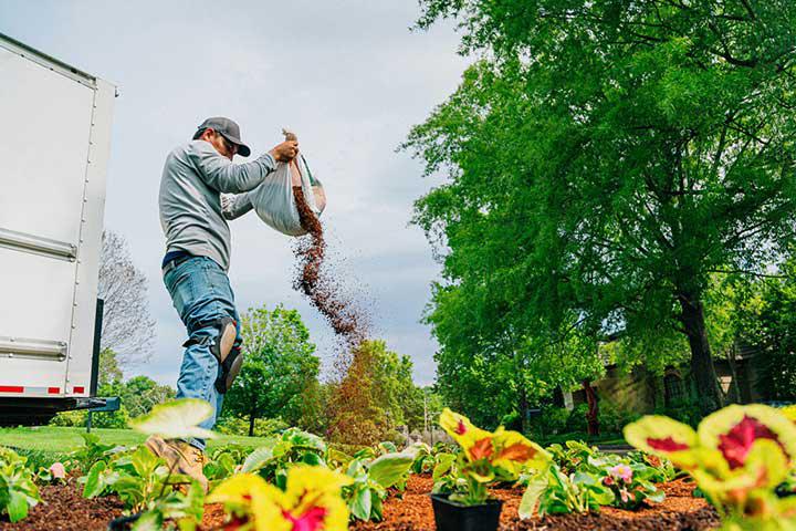 Landscaping