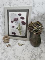 Purple Poppies Watercolor Original Framed 11 x 14
