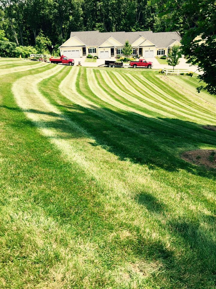 Expert Landscaping Services You Can Trust