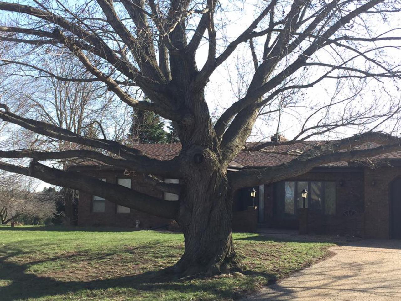 First Dakota Horticulture is here to help with all your trees, shrubs, and bushes.
