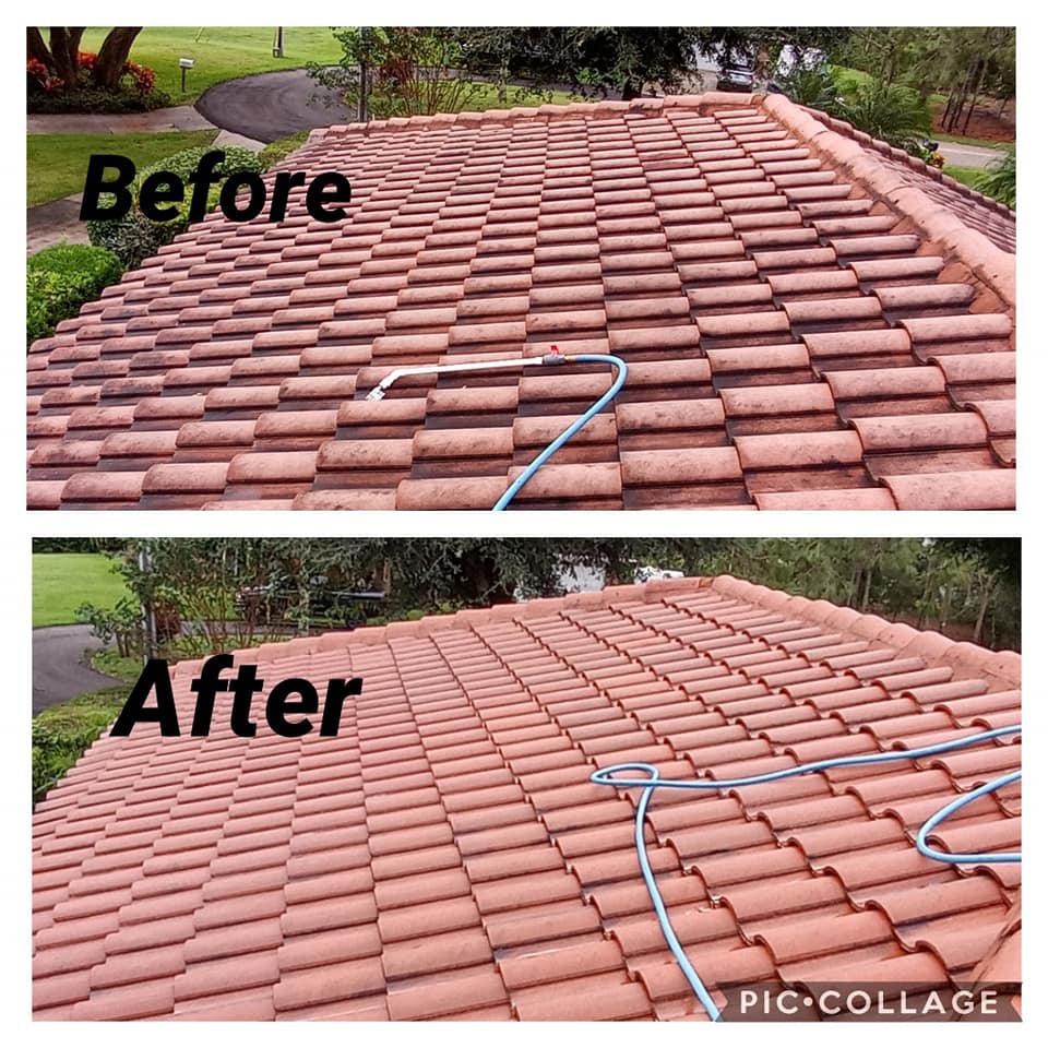 Little Prince Pressure Washing Roof Cleaning Service Near Me Lake Oswego Or