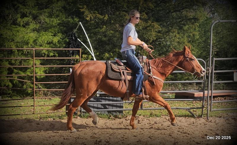 💚Shez Cool and Famous "Cool"💚