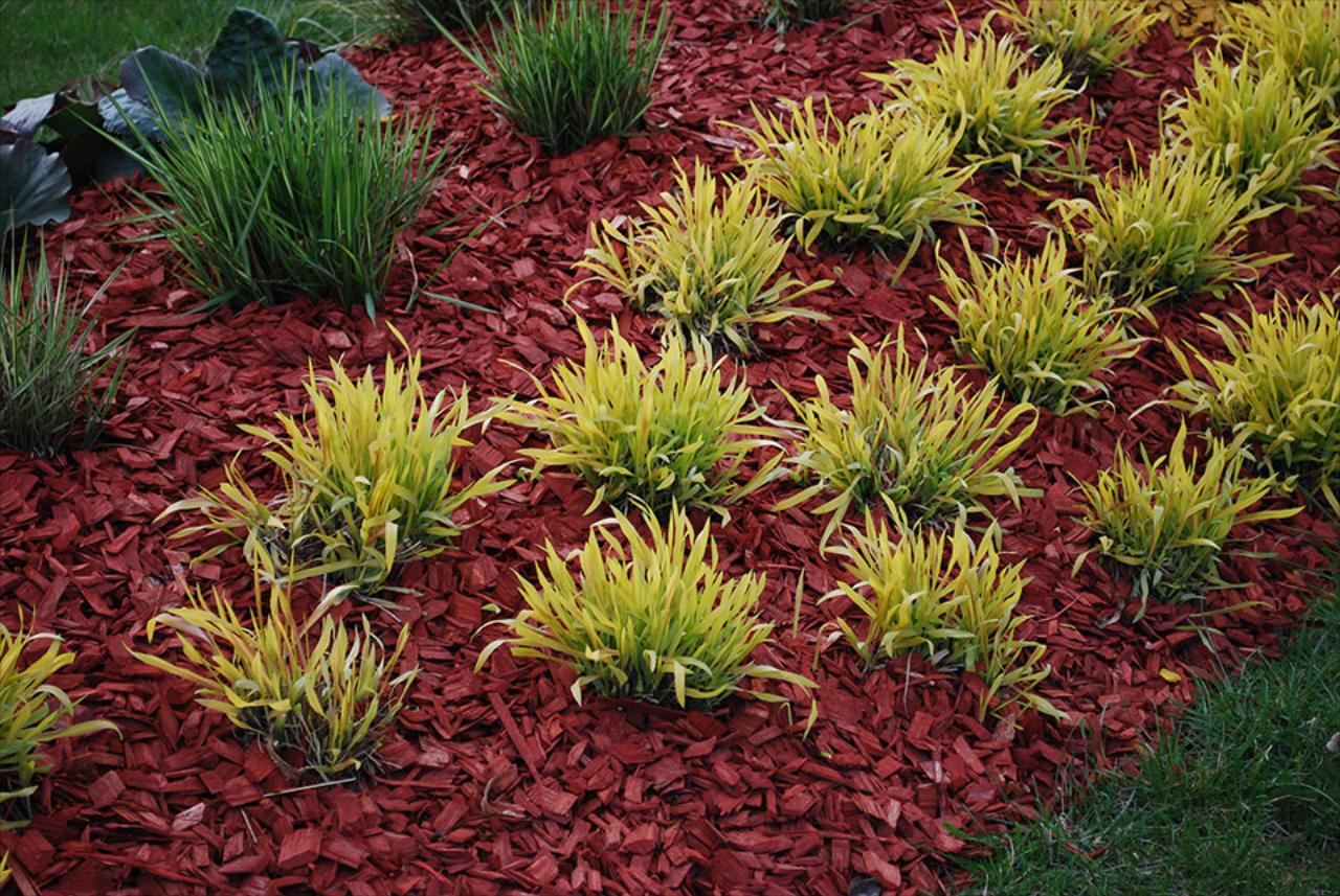 Landscaping & Planting