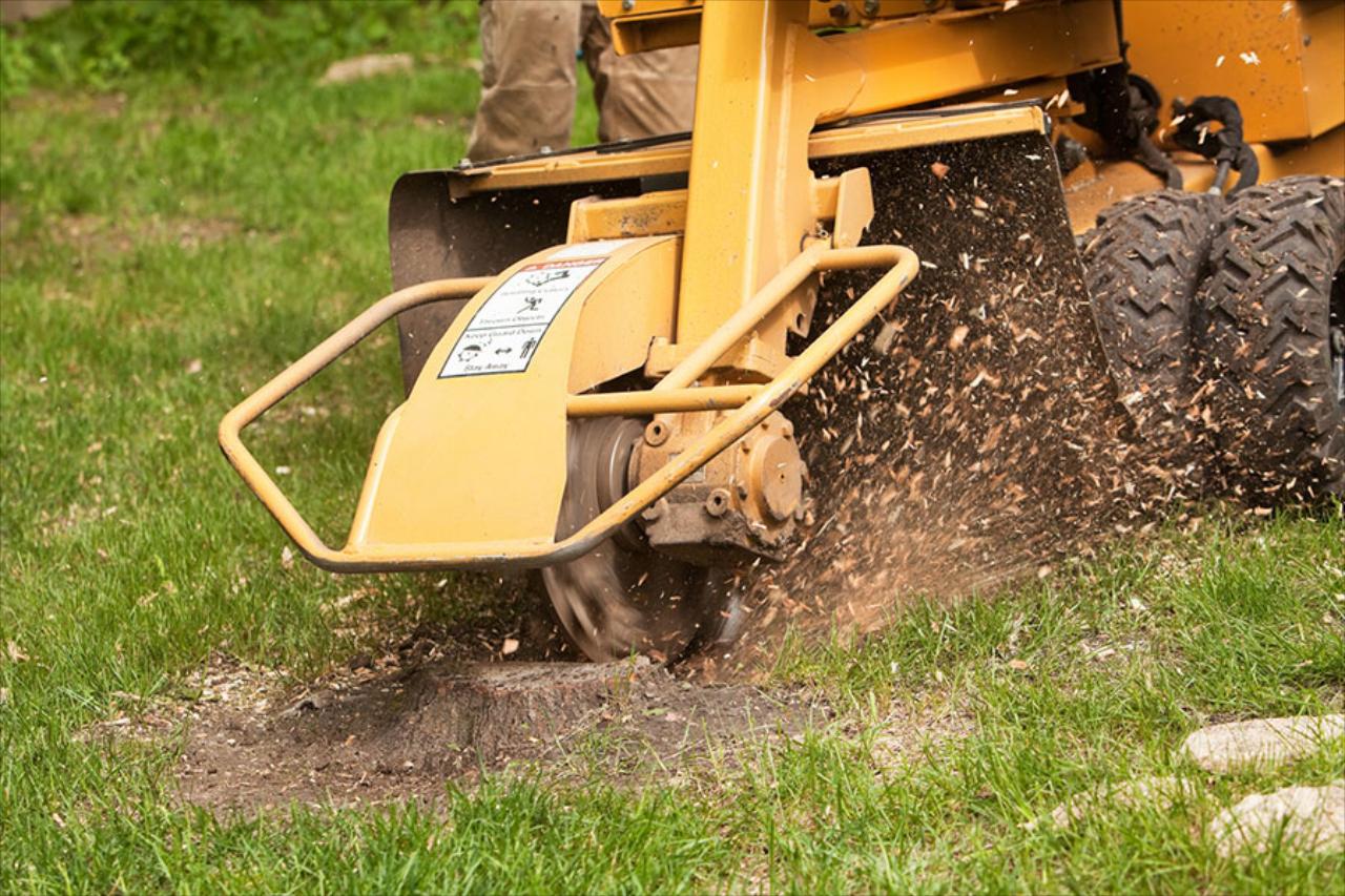 Stump Removal