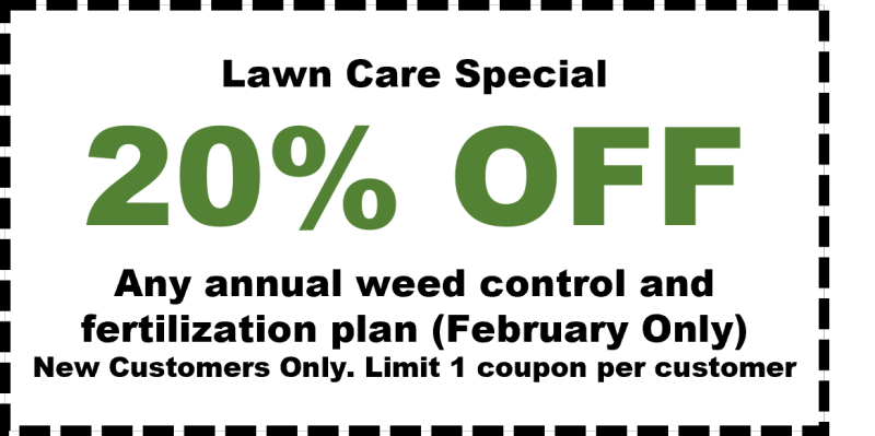 February Special