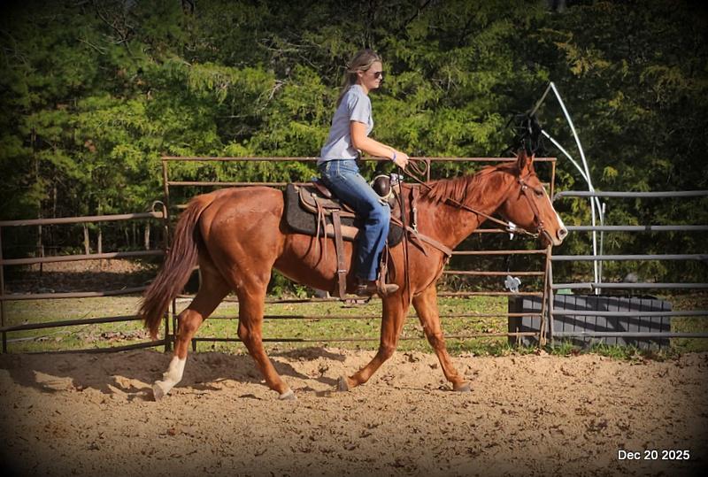 💚Shez Cool and Famous "Cool"💚